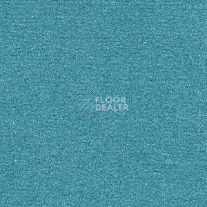 Ковролин Radici Nexus Genziana 8249 фото 1 | FLOORDEALER